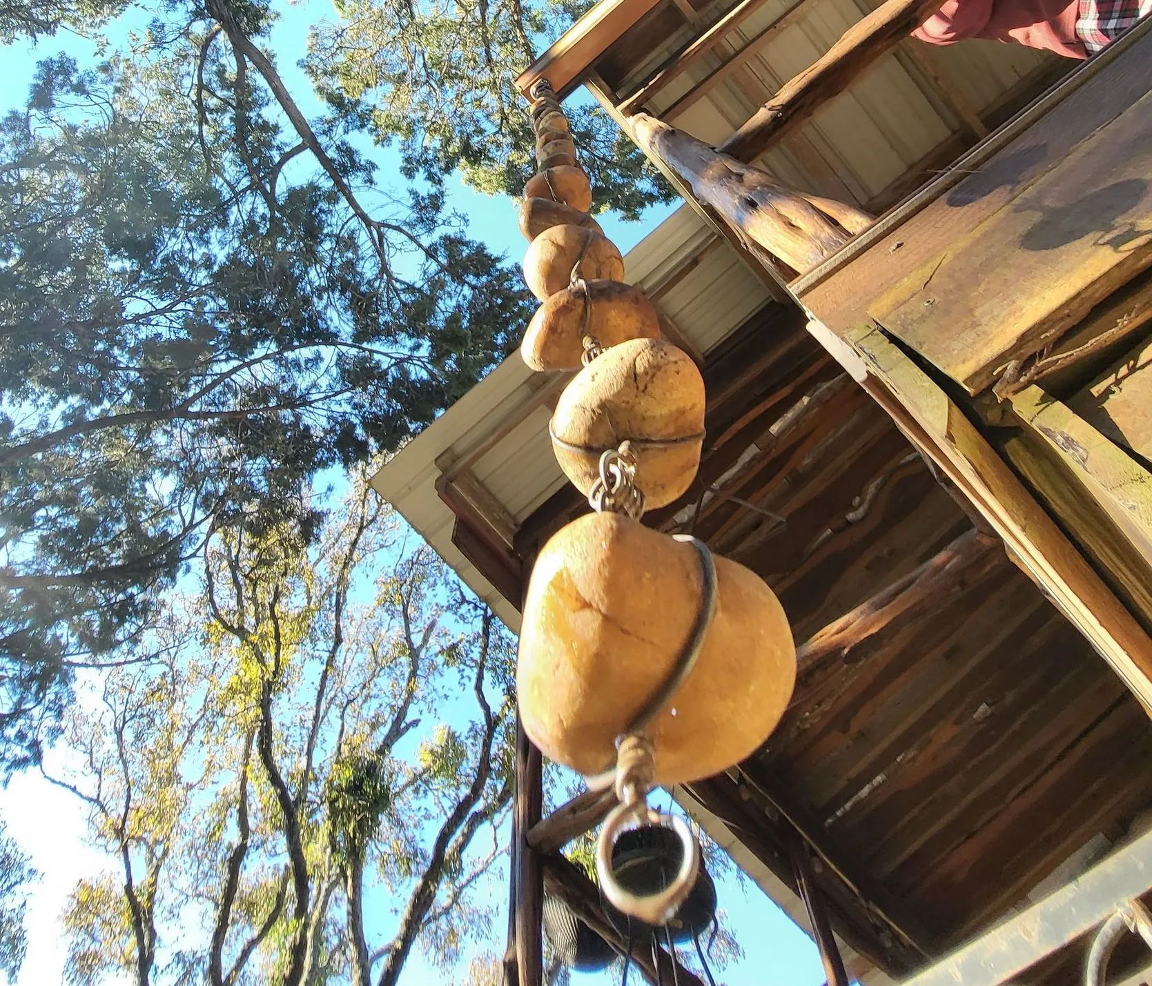 20231115 082843 54ce35ab 2880w