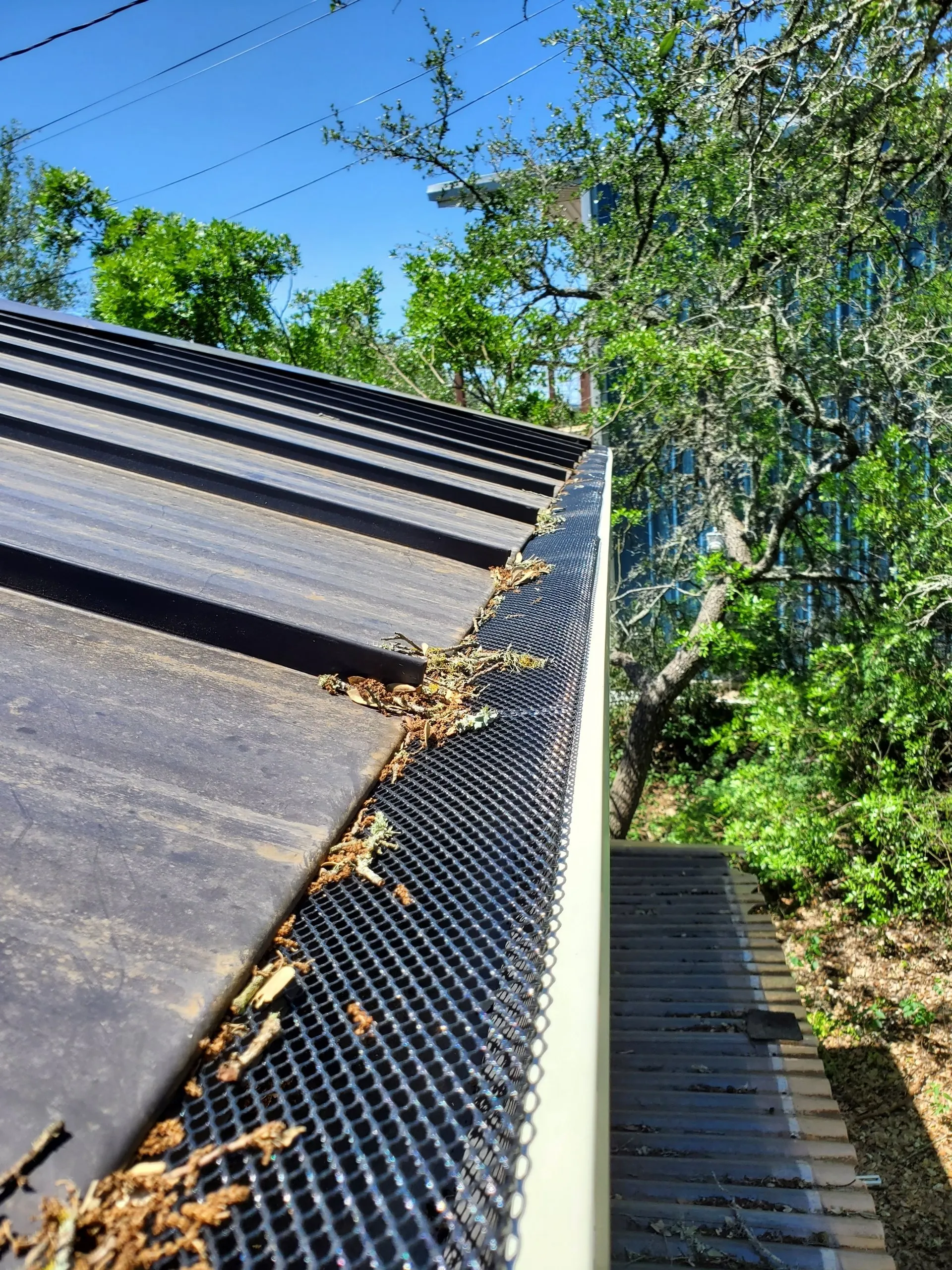 Resized 20210505 121158 2880w