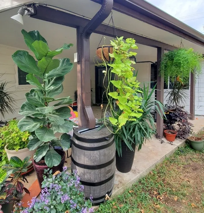 Resized Resized 20201114 100715 e60cfb50 1920w