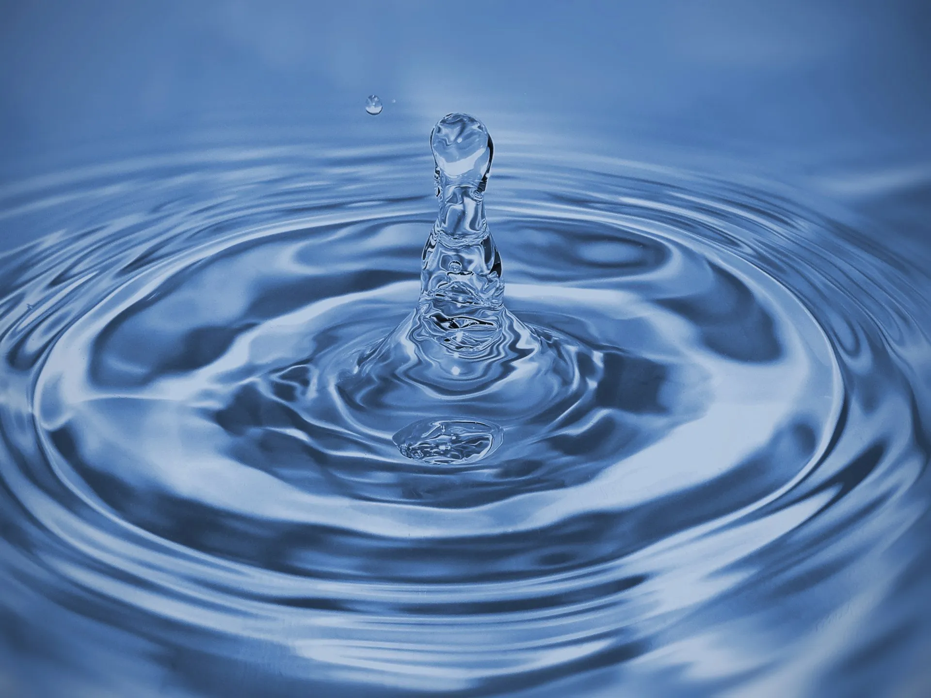 Upgrade Your Home: Rainwater Harvesting With Seamless Gutters