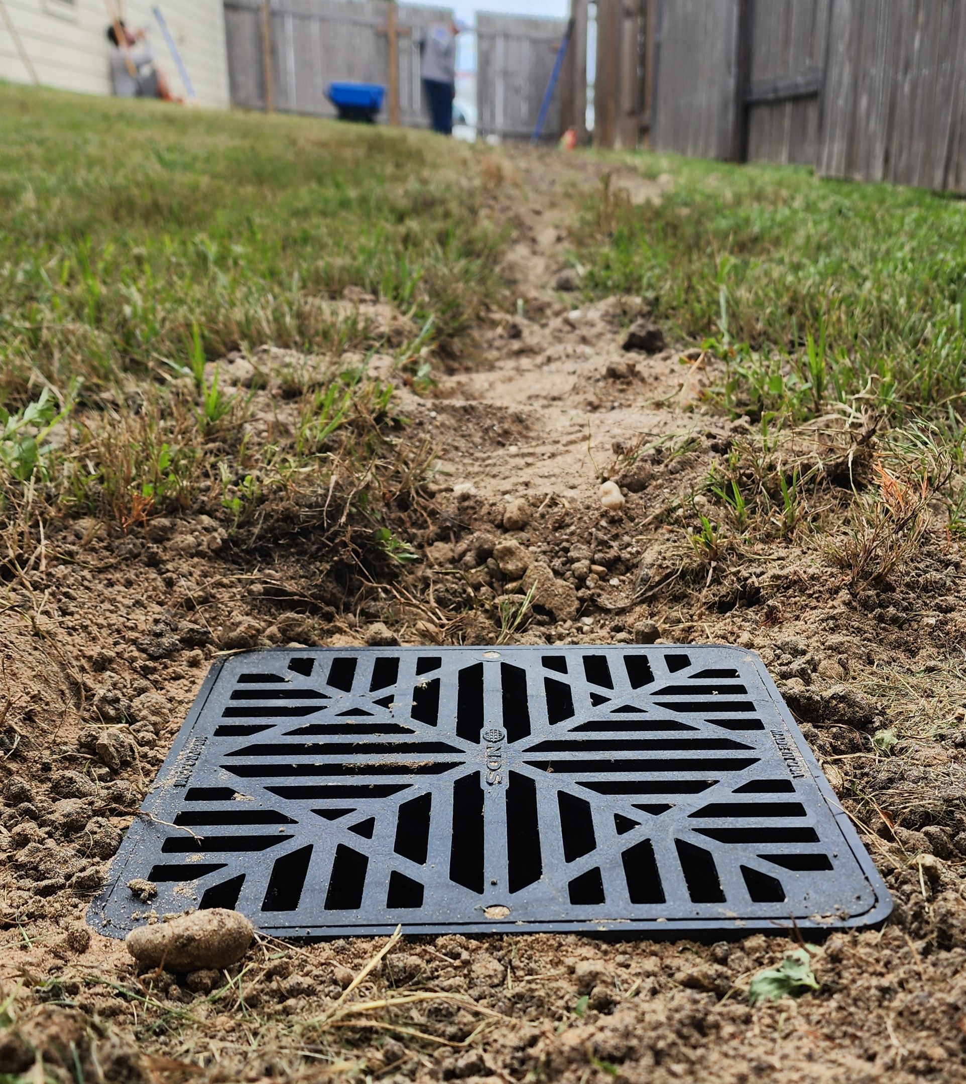 Catch basin grate at the end of a freshly buried downspout drain line in a backyard