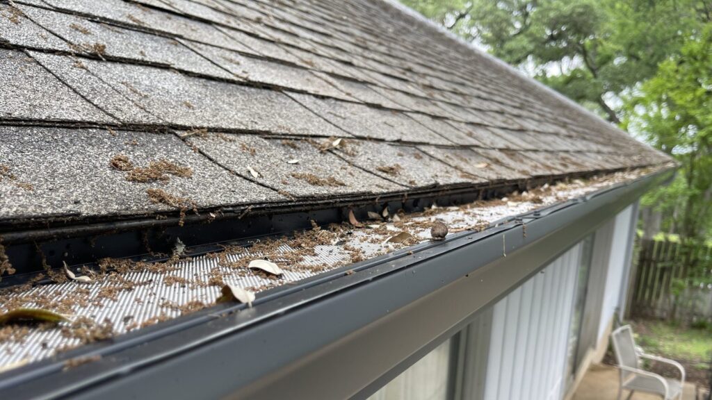 When to clean gutters in Central Texas: timing it to the pecan, red oak and cedar elm leaf drop